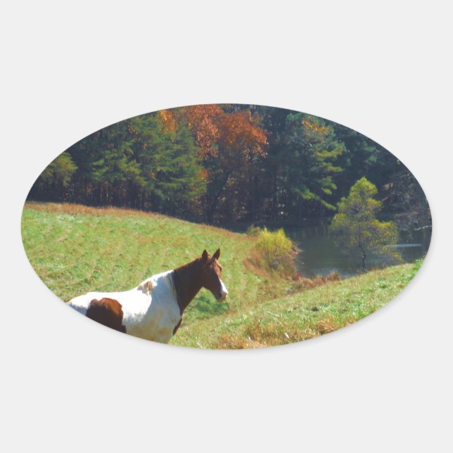 Sticker Ovale Cheval blanc et Brown, étang d'automne (Devant)