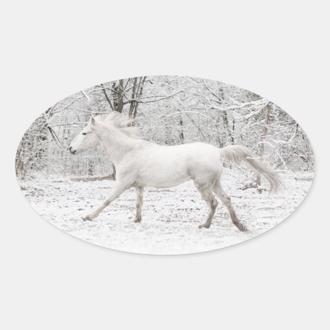 Sticker Ovale Cheval blanc galopant dans la neige (Devant)