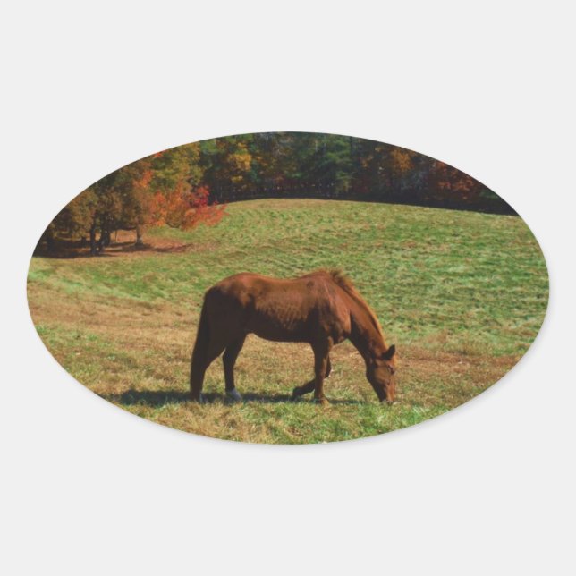 Sticker Ovale Cheval Brown rouge, arbres de chute, ciel bleu (Devant)
