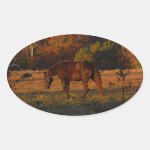 Sticker Ovale Cheval Brown rouge, bois d'automne.
