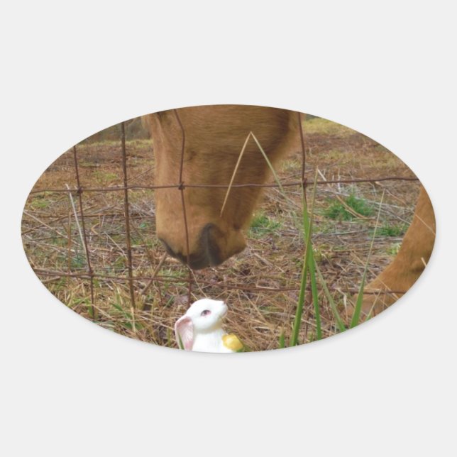 Sticker Ovale cheval et fleur de printemps Bunny (Devant)