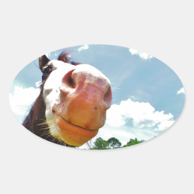 Sticker Ovale Cheval souriant (Devant)