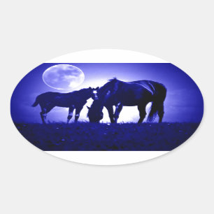 Sticker Ovale Chevaux et nuit bleue