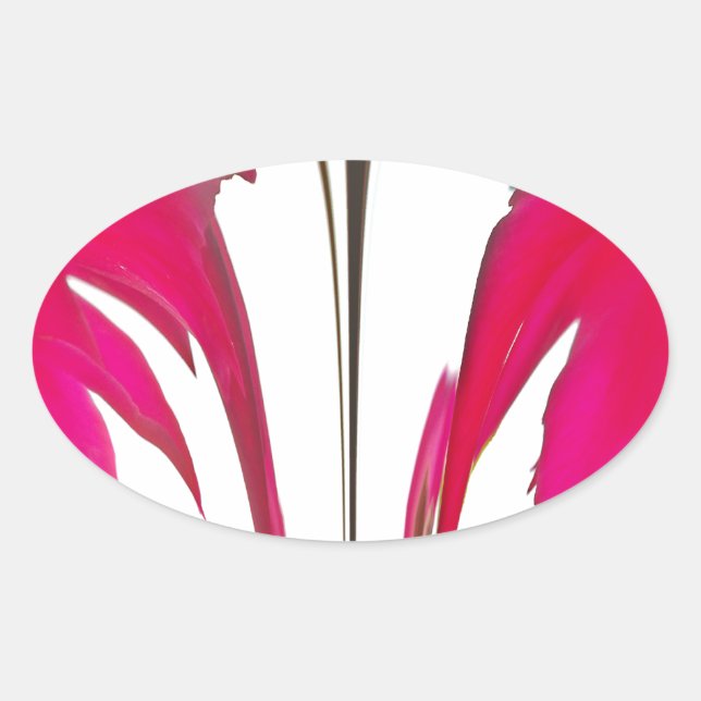 Sticker Ovale Chic rouge extraordinaire rose sous le ciel blanc. (Devant)