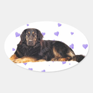 Sticker Ovale Chien aux Coeurs pourpres en chute