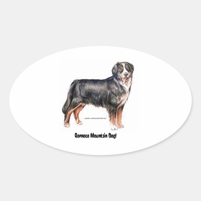 Sticker Ovale Chien de montagne bernois (Devant)