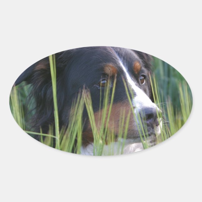Sticker Ovale Chien mouton dans l'herbe (Devant)