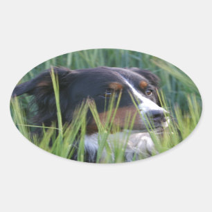 Sticker Ovale Chien mouton dans l'herbe