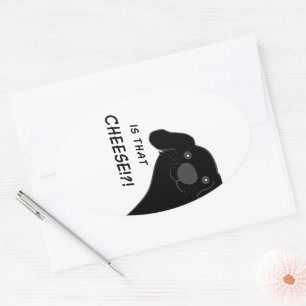 Sticker Ovale Chien Terre-Neuve Regard En Coin Noir Est-ce Du Fr