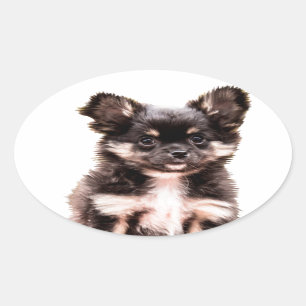Sticker Ovale Chihuahua Chien chiot