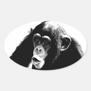 Sticker Ovale Chimpanzé noir blanc