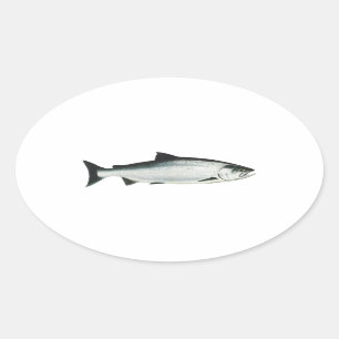 Sticker Ovale Chinook - King Saumon