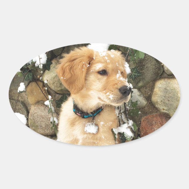 Sticker Ovale Chiot à neige (Devant)