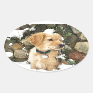 Sticker Ovale Chiot à neige