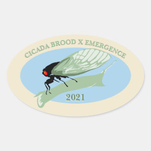 Sticker Ovale Cicada Brood X Emergence 2021