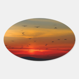 Sticker Ovale Ciel atmosphérique, coucher de soleil, oiseaux, be
