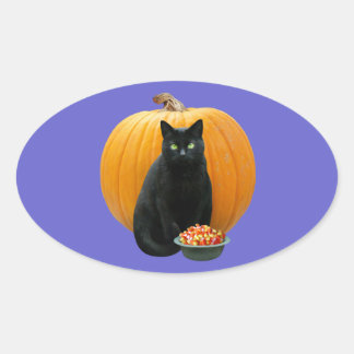 Sticker Ovale Citrouille de chat noir