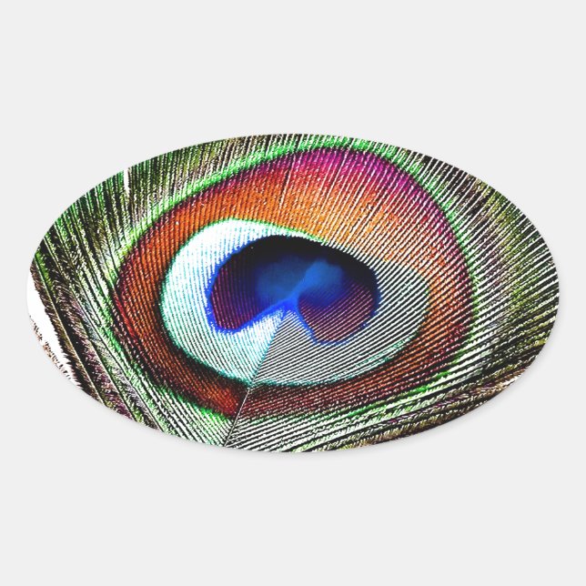Sticker Ovale Colorful Copper Peacock Feather (Devant)