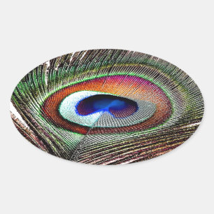 Sticker Ovale Colorful Copper Peacock Feather