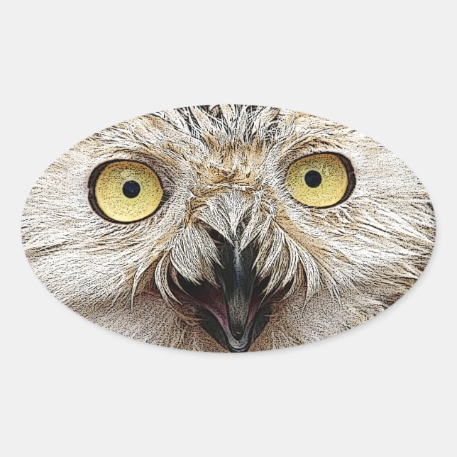 Sticker Ovale Comment Es-Tu ? Owl Qui Êtes-Vous ? (Devant)