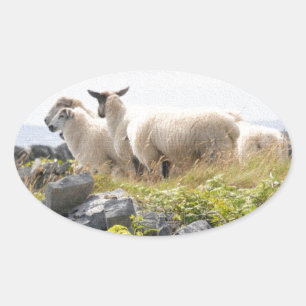 Sticker Ovale Conceptions originales - Moutons dans un champ
