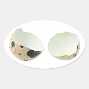 Sticker Ovale Coquille d'oeuf cassée