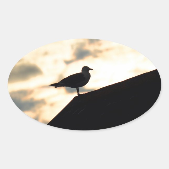 Sticker Ovale Coucher de soleil de Sea Gull (Devant)