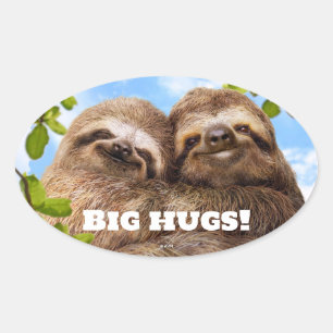 Sticker Ovale Couple de paresseux