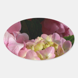 Sticker Ovale Crème rose Hydrangeas jaune rose vert floral