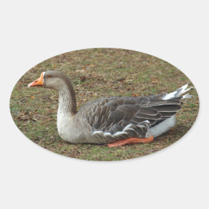 Sticker Ovale Croix du cygne gris