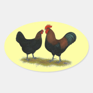 Sticker Ovale Cuivre noir des Marans