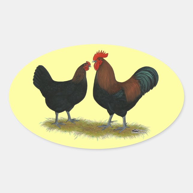 Sticker Ovale Cuivre noir des Marans (Devant)