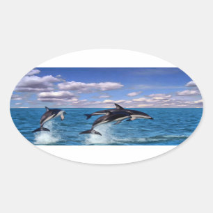 Sticker Ovale Dauphins Dusky En Jeu