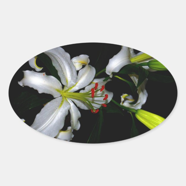 Sticker Ovale Design irlandais en laiton et en fleur (Devant)