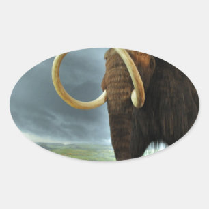 Sticker Ovale Destin de mammoth laine