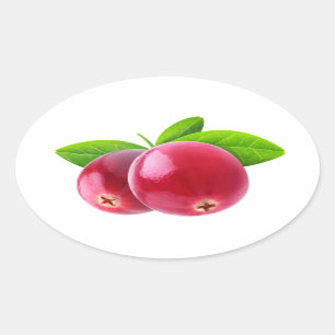 Sticker Ovale Deux canneberges
