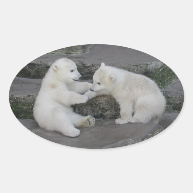 Sticker Ovale Deux oursons polaires (Devant)