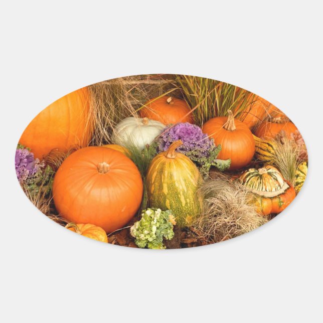 Sticker Ovale Divers citrouilles (Devant)
