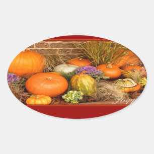 Sticker Ovale Divers citrouilles