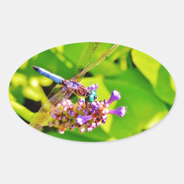 Sticker Ovale Dragonfly de couleur arc-en-ciel sur une fleur ros (Devant)