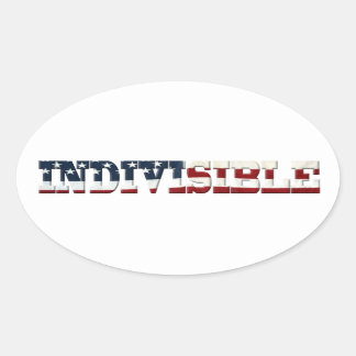 Sticker Ovale Drapeau INDIVISIBLE