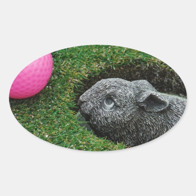 STICKER OVALE DSCF0652.JPG (Devant)