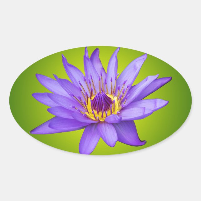 Sticker Ovale Eau Lily Étang Aquatique Purple Fleurit (Devant)