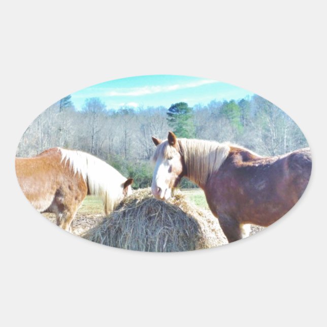Sticker Ovale Ébauche secourue Chevaux mangeant foin (Devant)