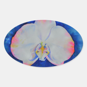 Sticker Ovale Elégante fleur florale d'orchidée rose-bleu