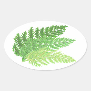 Sticker Ovale Élégante fougères vertes feuilles de bois
