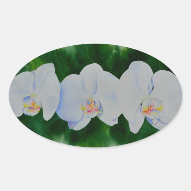 Sticker Ovale Elégante peinture d'orchidée tropicale blanche (Devant)
