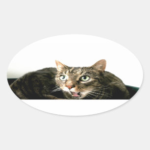Sticker Ovale Elvis