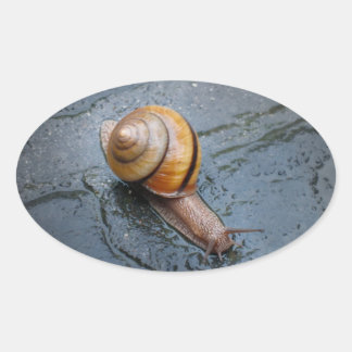 Sticker Ovale Escargots frits par jour de pluie