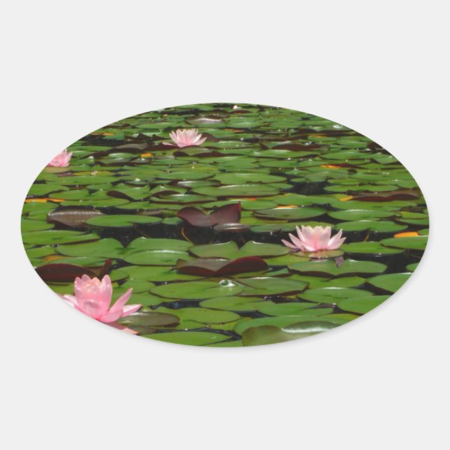 Sticker Ovale Etang de fleurs de lys d'eau rose (Devant)